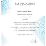 Certyfikat ukonczenia kursu trenerskiego EQF 5, Meritum Katowice